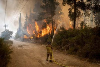 Kebakaran Hutan Hebat Landa Israel