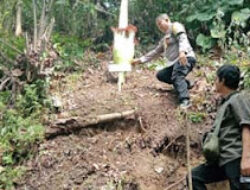 Warga Padang Sago Temukan Bunga Bangkai Mekar di Lubuk Napa