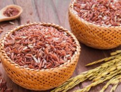Masih Bisa Makan Nasi Saat Diet? Ini Jenis Beras yang Aman untuk Turunkan Berat Badan