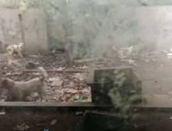 Tragis, Pria di Surabaya Ditemukan Tewas Diduga Dimangsa Anjing Peliharaannya