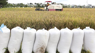 Perum Bulog menyebut telah berhasil melakukan penyerapan lebih dari 800 ribu ton setara beras.