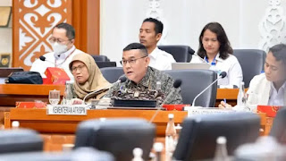 Wamen Ossy saat hearing di DPR RI.