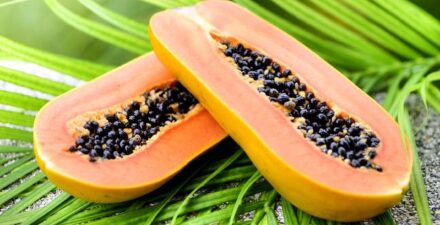 Pepaya memang kaya nutrisi, tapi tidak semua orang bisa makan pepaya.