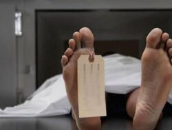 Kecelakaan Mudik 2025 Menurun, Korban Meninggal Juga Berkurang