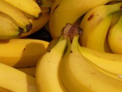 Lawan Pikun Sejak Muda! Ini 5 Buah yang Bantu Tajamkan Ingatan