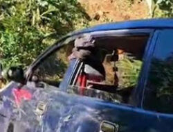 Mobil Terjebak di Tanjakan Wisata Bogor, Warga Gotong Royong Evakuasi