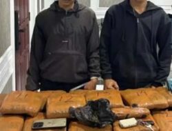 Polisi Amankan Puluhan Kilogram Ganja dari Panyabungan