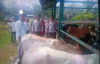 Pemkab Pasbar Awasi Ketat Lalu Lintas Ternak