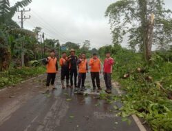 Sigap Tangani Bencana, Tim Gabungan Sekayu Beraksi di Tengah Malam