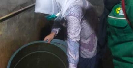 Waspadai Ledakan Penyakit dan Perkuat Kesadaran Hidup Sehat Pascabanjir di Tungkal Jaya
