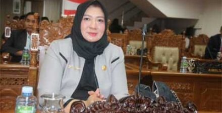 Anggota DPR Pulang isau Dwi Erlina Serukan Kesadaran Warga Pulpis Rawat Fasilitas Umum