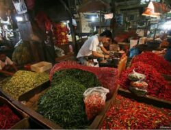 Harga Cabai Rawit Merah Melonjak Drastis, Pemerintah Berupaya Stabilkan Pasar