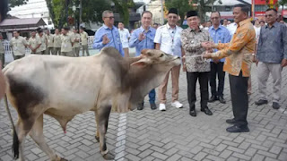 Perumda AM serahkan sapi kurban untuk disalurkan ke masjid dan musala