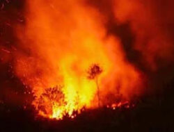 Ledakan Tabung Gas Oplosan Picu Kebakaran di Rumpin Bogor