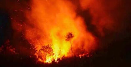 Ledakan Tabung Gas Oplosan Picu Kebakaran di Rumpin Bogor