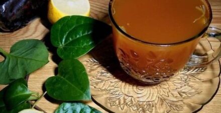 Rebusan daun sirih untuk apa? Ternyata konsumsi air rebusan daun sirih memberikan aneka manfaat kesehatan.