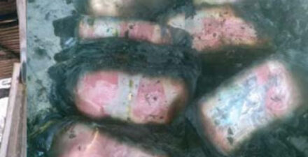 Penampakan uaang tunai Rp50 juta yang ludes terbakar.