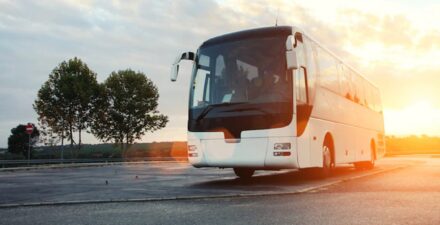 7 PO Bus Tarif Terjangkau untuk Perjalanan Nyaman Antar Kota