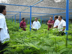 Semen Padang Gandeng PPNP Kembangkan Biomassa Ramah Lingkungan