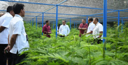 Kolaborasi hijau PT Semen Padang dengan PNPP melalui penanaman kaliandra.