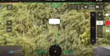 Pelajar Jember Tewas Terjatuh ke Jurang Saat Turun dari Gunung Saeng