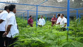 Kolaborasi hijau PT Semen Padang dengan PNPP melalui penanaman kaliandra.