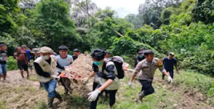 Petugas BKSDA Sumbar bersama Tim Pagari sedang evakuasi harimau sumatera.