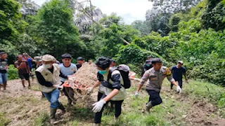 Petugas BKSDA Sumbar bersama Tim Pagari sedang evakuasi harimau sumatera.