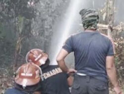 Lahan di Solok Terbakar Dua Kali dalam Sehari