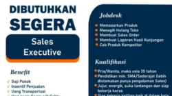 PT Adidaya Andalan Asia Buka Lowongan Sales Executive, Gaji Pokok dan Insentif Menarik!
