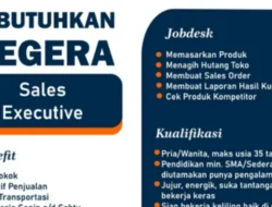 PT Adidaya Andalan Asia Buka Lowongan Sales Executive di Bukittinggi