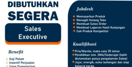 PT Adidaya Andalan Asia Buka Lowongan Sales Executive, Gaji Pokok dan Insentif Menarik!