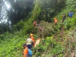 SAR Selamatkan Pria Terjepit Pohon di Padang