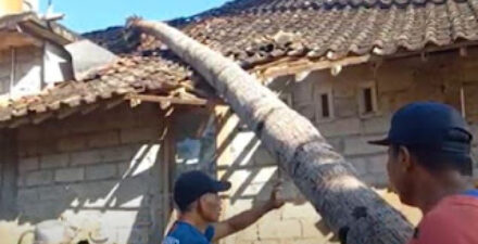 Angin Kencang Rusak Rumah dan Tumbangkan Pohon di Kecamatan Suruh