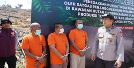 Tersangka kasus perambahan hutan di Riau.
