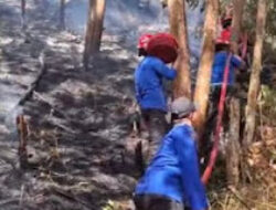 Lahan Warga di Solok Terbakar, Damkar Kerahkan 3 Armada