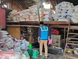 PLN Luncurkan Kemitraan Tiga Pihak Dukung UMKM Pertanian