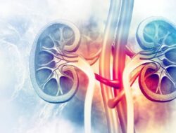 6 Jenis Makanan yang Bisa Merusak Ginjal — Hati-hati Mengonsumsinya!