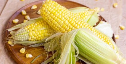Manfaat Konsumsi Jagung Setiap Hari untuk Tubuh dan Kesehatan Mental