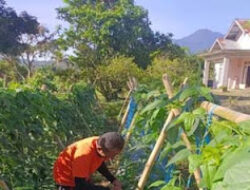 Lapas Talu Tanam Sayur dan Buah, Dukung Program Nasional