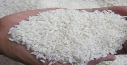 Perkuat Ketahanan Pangan hingga MBG, RI Punya Ekosistem Beras Biofortifikasi.