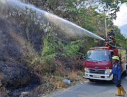 Kebakaran Lahan 3 Hektare Terjadi di Perbukitan Balai Gadang