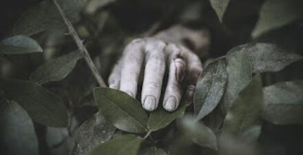 Dua Pemancing Tewas Disambar Petir Saat Berteduh di Pondok Sawah Banjar