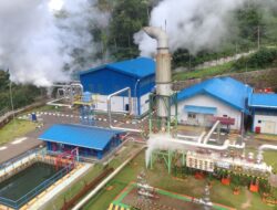 Prabowo Dorong Pengelolaan Energi Terbarukan untuk Kesejahteraan Rakyat