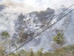 Karhutla dan Longsor Landa Indonesia, BNPB Tingkatkan Kewaspadaan