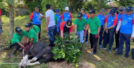 Bank Nagari Gelar Program Berqurban Serentak 2025