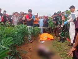 Honorer SMA Tewas Bersimbah Darah di Kebun Singkong Lampung