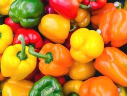 3 Sayuran Ampuh Turunkan Asam Urat Secara Alami