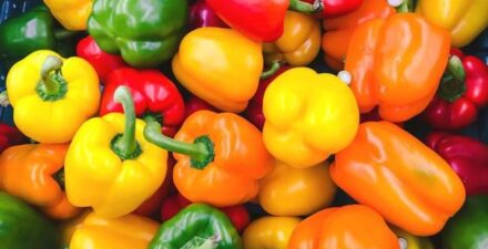 3 Sayuran Ampuh Turunkan Asam Urat Secara Alami