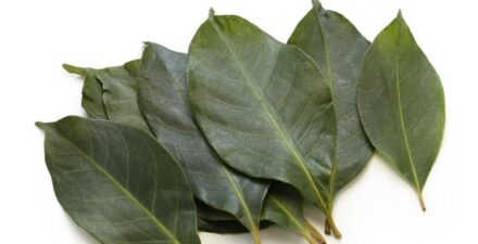 10 Manfaat Daun Salam untuk Kesehatan, Bukan Sekadar Bumbu Masak